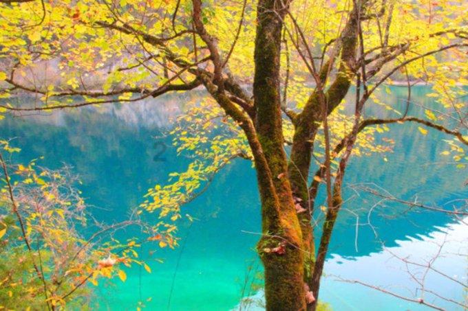 逃离壳牌岛